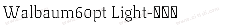 Walbaum60pt Light字体转换 Walbaum60pt Light字体转换